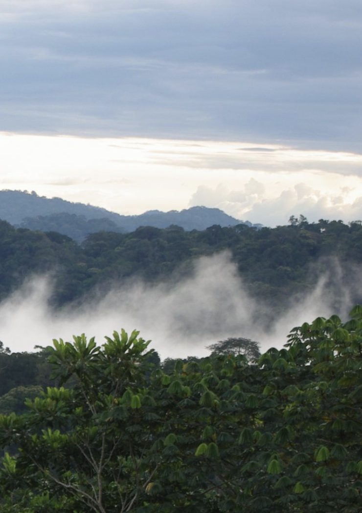 Des forêts, des eaux & des sociétés en transition. Cultiver des communs entre savoirs et terrains