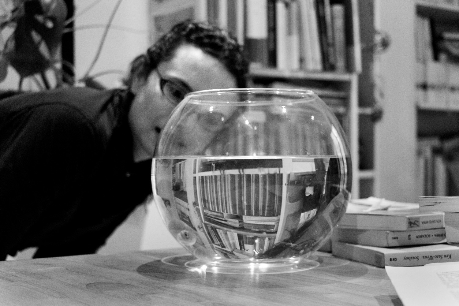 « La langue » n&rsquo;existe pas